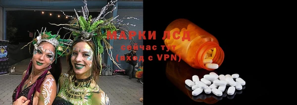 a pvp Алзамай